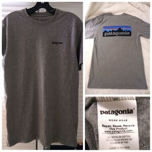 Vintage Patagonia gray tshirt.